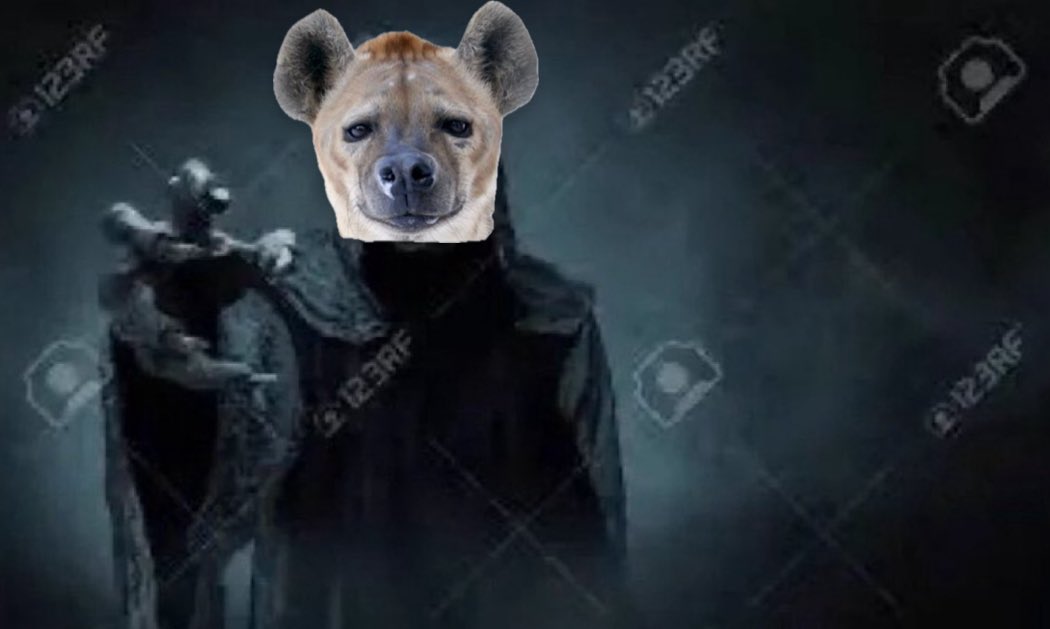 marcoyeen's tweet photo. Mexicans when they are a hyena https://t.co/NCbT8ICrvu