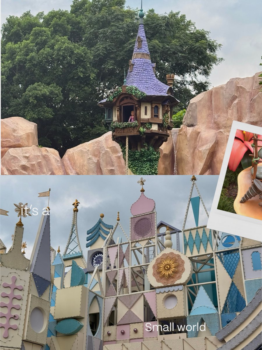 RodriCaerito's tweet photo. A day filled with magic. https://t.co/fmp37mhpZN