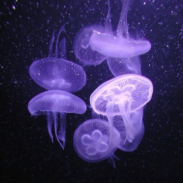 byl3rcoded's tweet photo. I got purplee

#reply for a color👀 https://t.co/vOZbGKcjr9