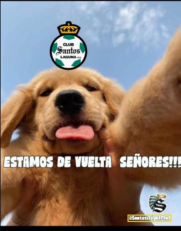 SantosLagunFans's tweet photo. Que orgullo es de ser de @ClubSantos 

Dale Retuit (old school) si también sientes lo mismo!! https://t.co/2lal49Jdd3