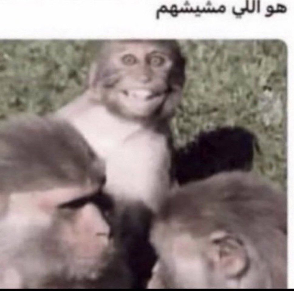 riilu67's tweet photo. يوم ودك تلعنين جدف الخونه بس انتي ماتقذفين ولا تسبين فتعززين للي يسبونهم❤️❤️❤️ https://t.co/hWwIfrZLrL