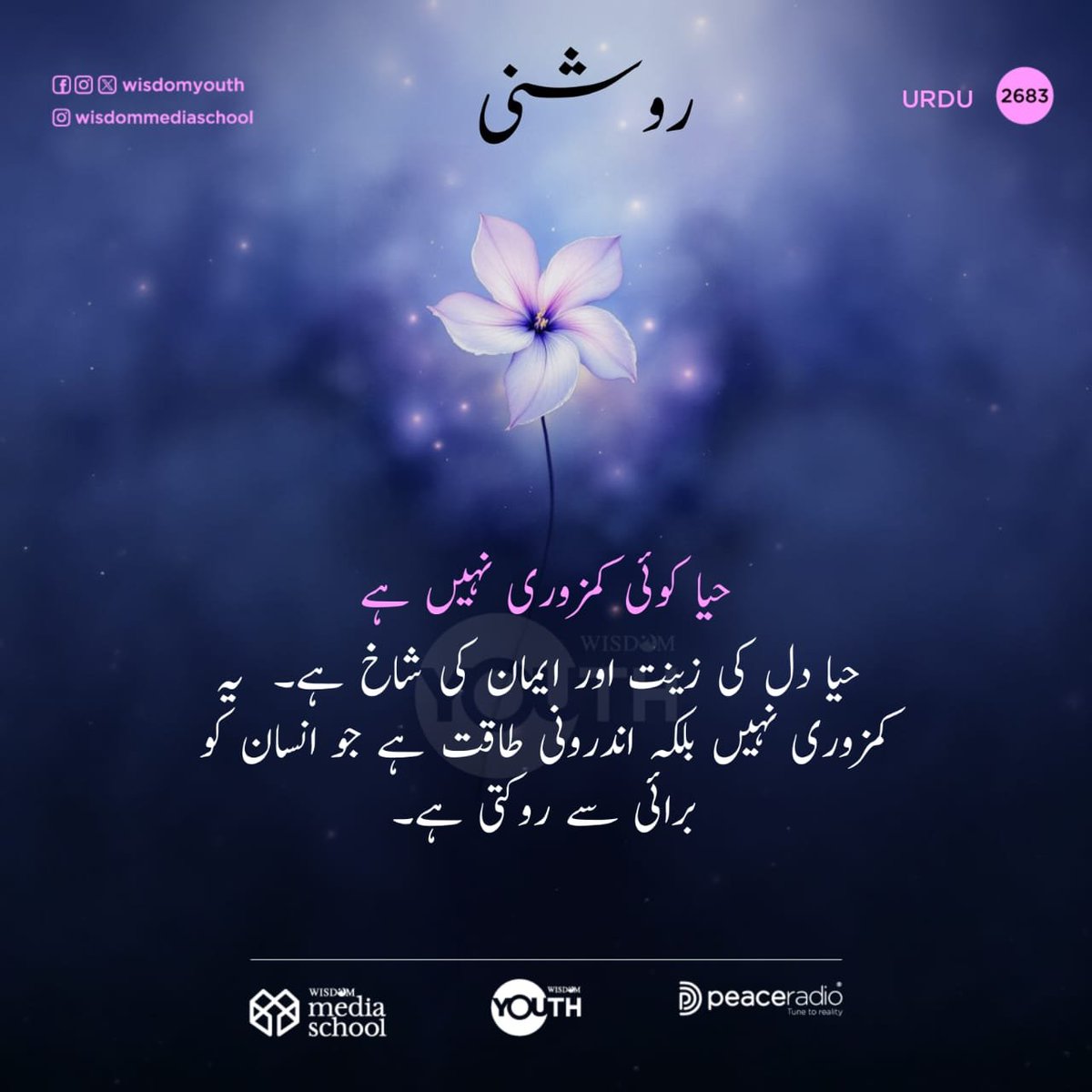 WisdomUrdu's tweet photo. 2683  | روشنى

🟦Follow us on X

https://t.co/RG4BmLLZHM

🟩 Follow our WhatsApp Channel

https://t.co/oLx9prnjsI

#thelightUrdu
#qsvurdu
#wisdomIslam
#dailyqranurdu
#wisdomUrdu https://t.co/S4Y19Mvwn7