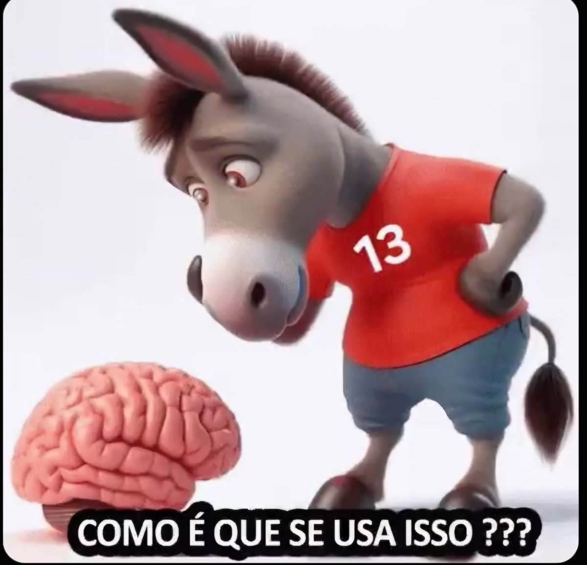 NelsonFont61714's tweet photo. @mattiellosv Tudo bem que até assusta, mas é o de menos, o pior mesmo é a educação e o comportamento esmerado (contém ironia) https://t.co/aBlsc9bJtd