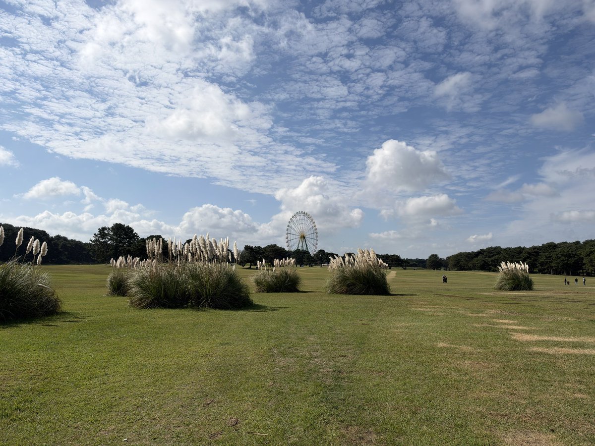 wheel2033 tweet picture