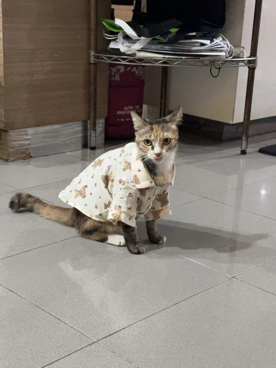 reyIuvr's tweet photo. shes in her pajamas https://t.co/F38u7LwBLI