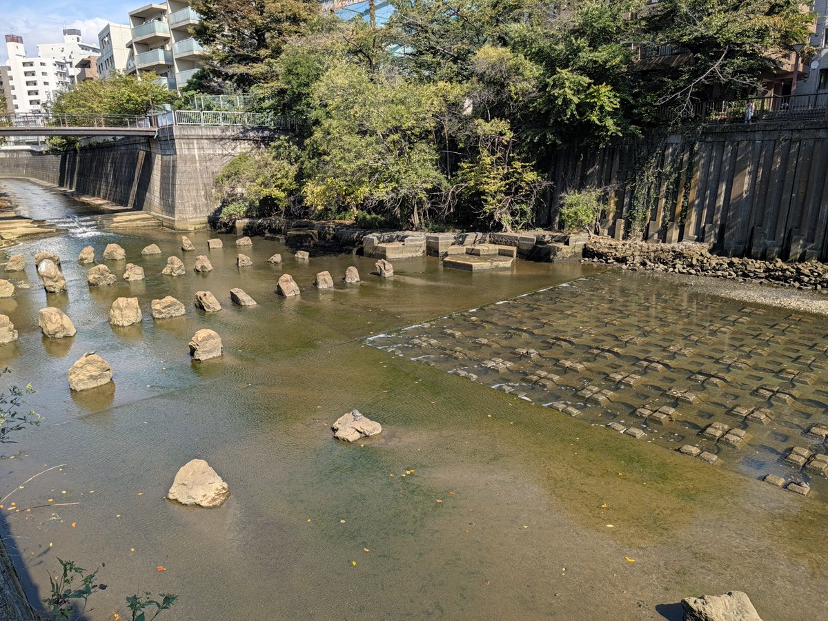 TomochinTabi's tweet photo. 目黒川 https://t.co/BQpRUGFwc4