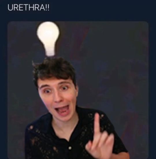phanforevaa tweet picture