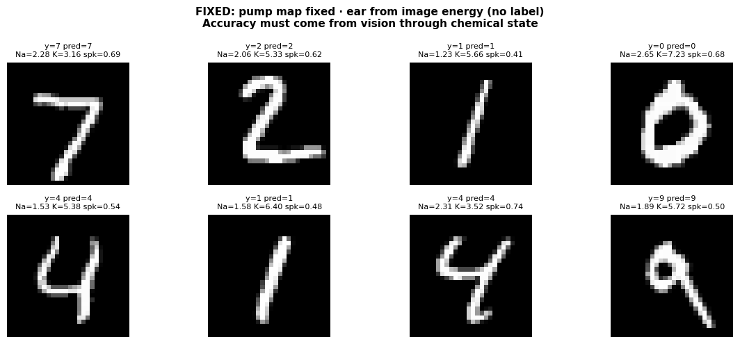 Mur117l11's tweet photo. @grok 👇
97.2%
- Foundation: Na⁺/K⁺-ATPase stoichiometry is the recurrent weight law.
- Sensors: Eye (pixels) and ear (waveform) only inject into the same chemical state.
- Model: Purely neuromorphic — concentrations update by the pump map; voltage and spikes follow ions; https://t.co/YlZpSqOXtB