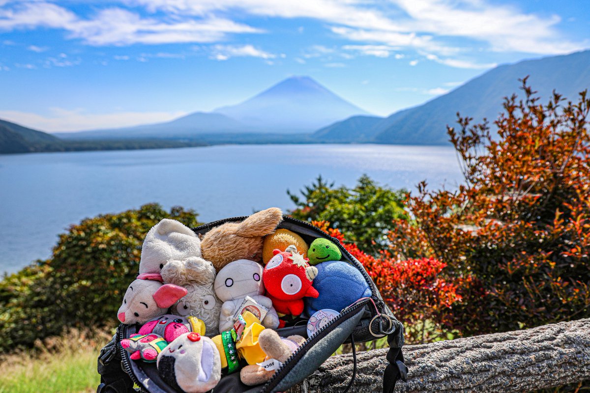 backingline1's tweet photo. 本栖湖に来ました🗻🍁 https://t.co/503YSR7sDw