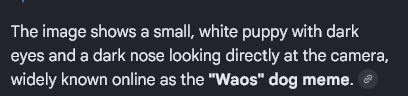 iridescentpeak's tweet photo. I FOUND THIS DOG THAT IS GOING VIRAL ON 4CHAN, THIS IS JUST LIKE WHEN WE RAN BILLY..

The dog is known as the "Waos" dog meme!

Let's send an OG trenches type cook. Just buy Waos and callout

Dex at 15k. Lets run it!

https://t.co/fJlYO1voXY

https://t.co/TYHyKzF8jg https://t.co/yG5LVp4ji4