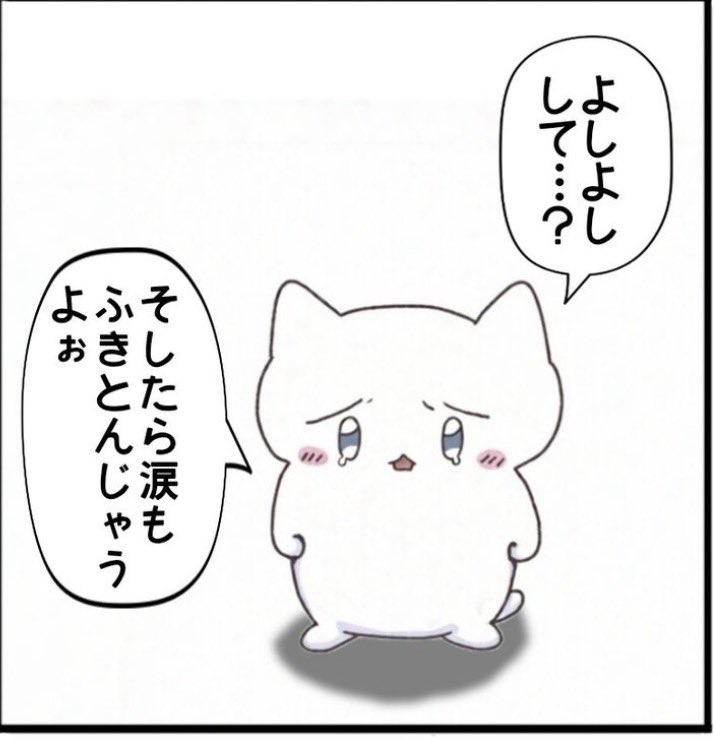 PoPPotan2012's tweet photo. @satenyuuki https://t.co/0AUBsG1Jgm