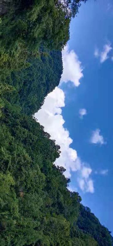 Saneryitblo's tweet photo. 现在这上面除了AI怪
人机托管  🚪姐  引流推流的  还有活人么？
我只想找个人聊聊天  聊聊社会 政策  聊聊生活
愣是没发现一个活人  中文区就跟寂静岭似的 https://t.co/L4BTuyzcft