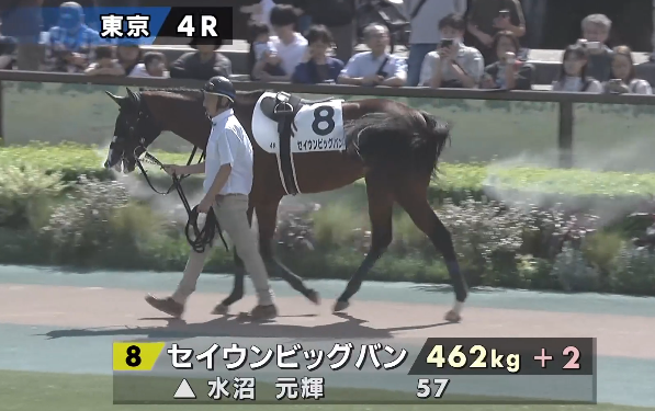flarenyank's tweet photo. 2026.10.12
東京４レース　障害未勝利
踏み判定　4.5.8

◎④セイフウサツキ
相手は、
⑧セイウンビッグバン
②バンデルオーラ
⑤エポカスピーガ

◎中心視 https://t.co/hS2C4ic2fo