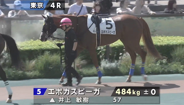 flarenyank's tweet photo. 2026.10.12
東京４レース　障害未勝利
踏み判定　4.5.8

◎④セイフウサツキ
相手は、
⑧セイウンビッグバン
②バンデルオーラ
⑤エポカスピーガ

◎中心視 https://t.co/hS2C4ic2fo