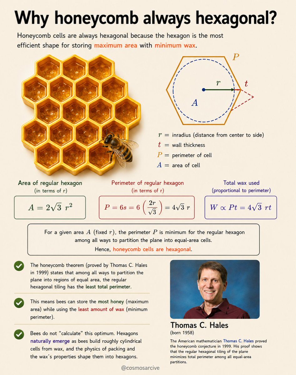 Xavier_HPI's tweet photo. Why are honeycomb cells hexagonal instead of circular or square?

Because hexagons fit together without gaps while using less wall material than squares of the same area. https://t.co/tGc7pxa8NY