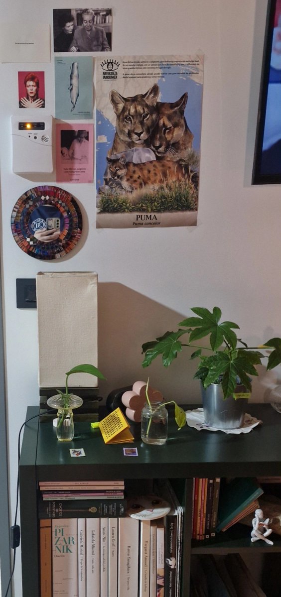 hestereyes's tweet photo. amo esta pared de nuestra casita https://t.co/D70Oi4zRyv