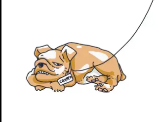 jolly792220's tweet photo. dog named crypto https://t.co/GkcpbHZ1Uw