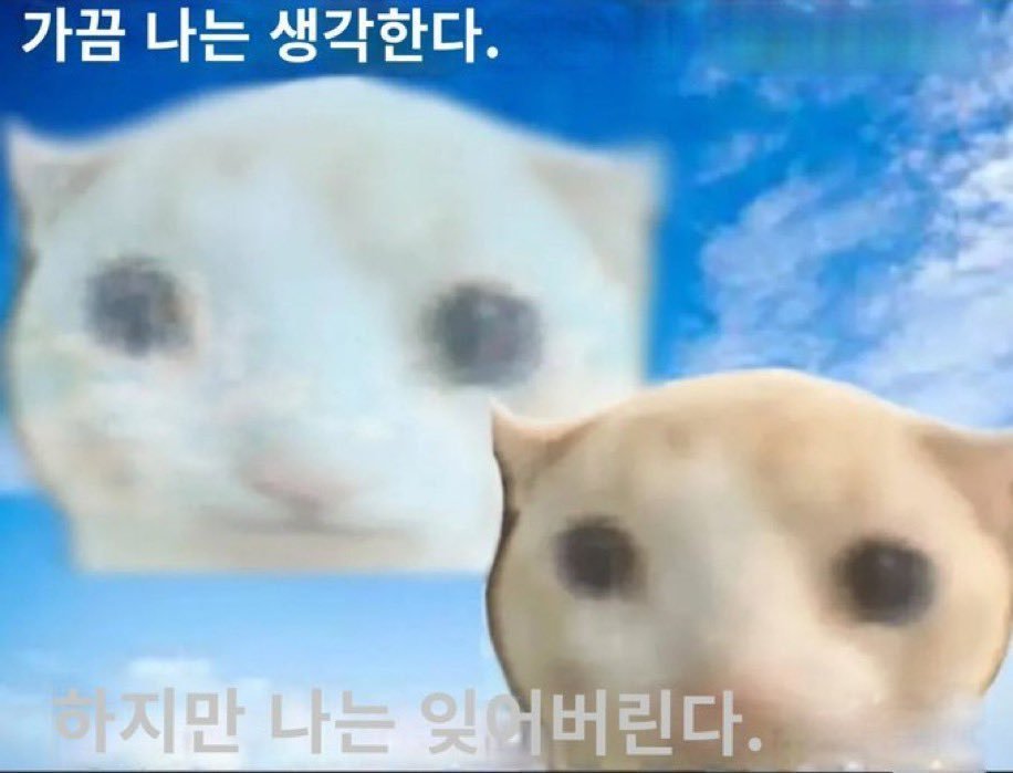 nyamu_mu2's tweet photo. 개최악조합1위 쇼타+케모미미 https://t.co/Cmu7ftUsxy