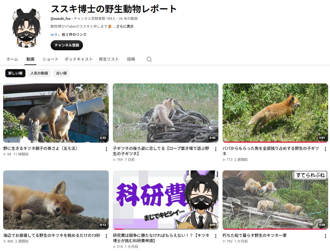 susuki_fox's tweet photo. あの、キツネ特化チャンネルって、実はあんまり需要なかったりします……？
YouTubeが新規参入者に厳しいから伸びていないだけ……？
キツネ好きさんは世界中にもっといますよね？
い、います……よね…………？
おーい…………！　キツネ好きのみなさ～ん！ https://t.co/XpohAr42tx