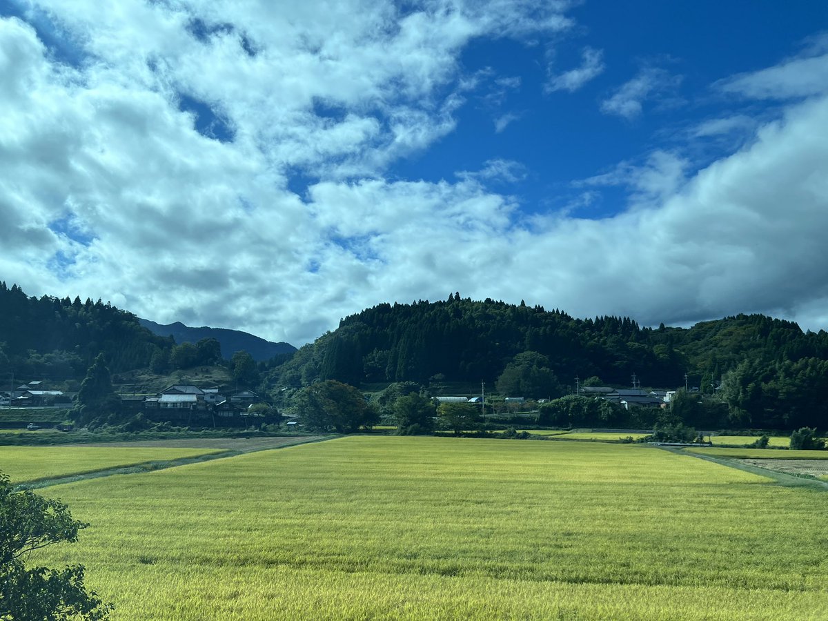 hmr823949w's tweet photo. 風景画 https://t.co/huIqVC56YL