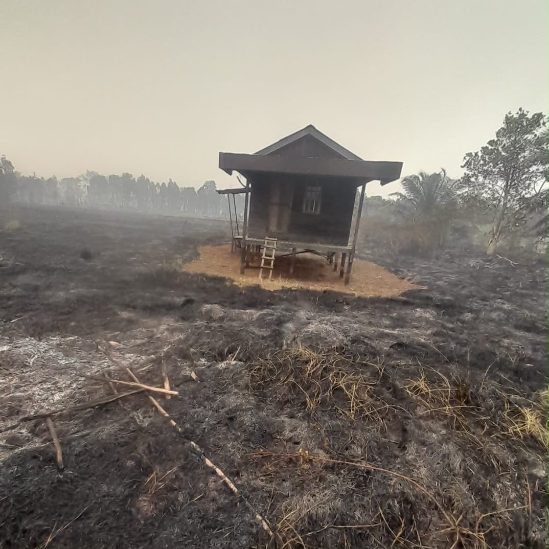 SenjaHuening's tweet photo. Jumat malam peternakan ayam temen gw habis kena kebakaran di Kalimantan

Semua kandangnya sampai ayam ayam nya habis dilahap api

Tadi malam kebun Om gw kebakar
Sisa pondokan kecil di kebun nya yang entah gimana Allah menolong berdiri tegak diantara kebun yang rata

Gw nangis bgt https://t.co/eWCWueH2QU