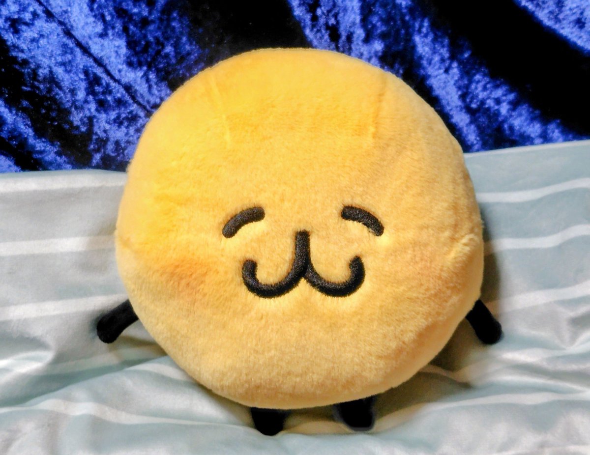inunosotto's tweet photo. 改めまして、
ようこそ、ホニャちゃん！

…なんか、泣いてね？正面右の目尻。

集合！
サイズ的に比較になるメンバー！　子守唄役ミャクミャーク先輩はアウェイ版も集合！

ホニャちゃんが落ち着いたら耳毛デデンネ！睫毛メタモン集合！

これより、
歓迎会を開始します。
#えもじの子　#ポケモン https://t.co/3WJlsT64bw