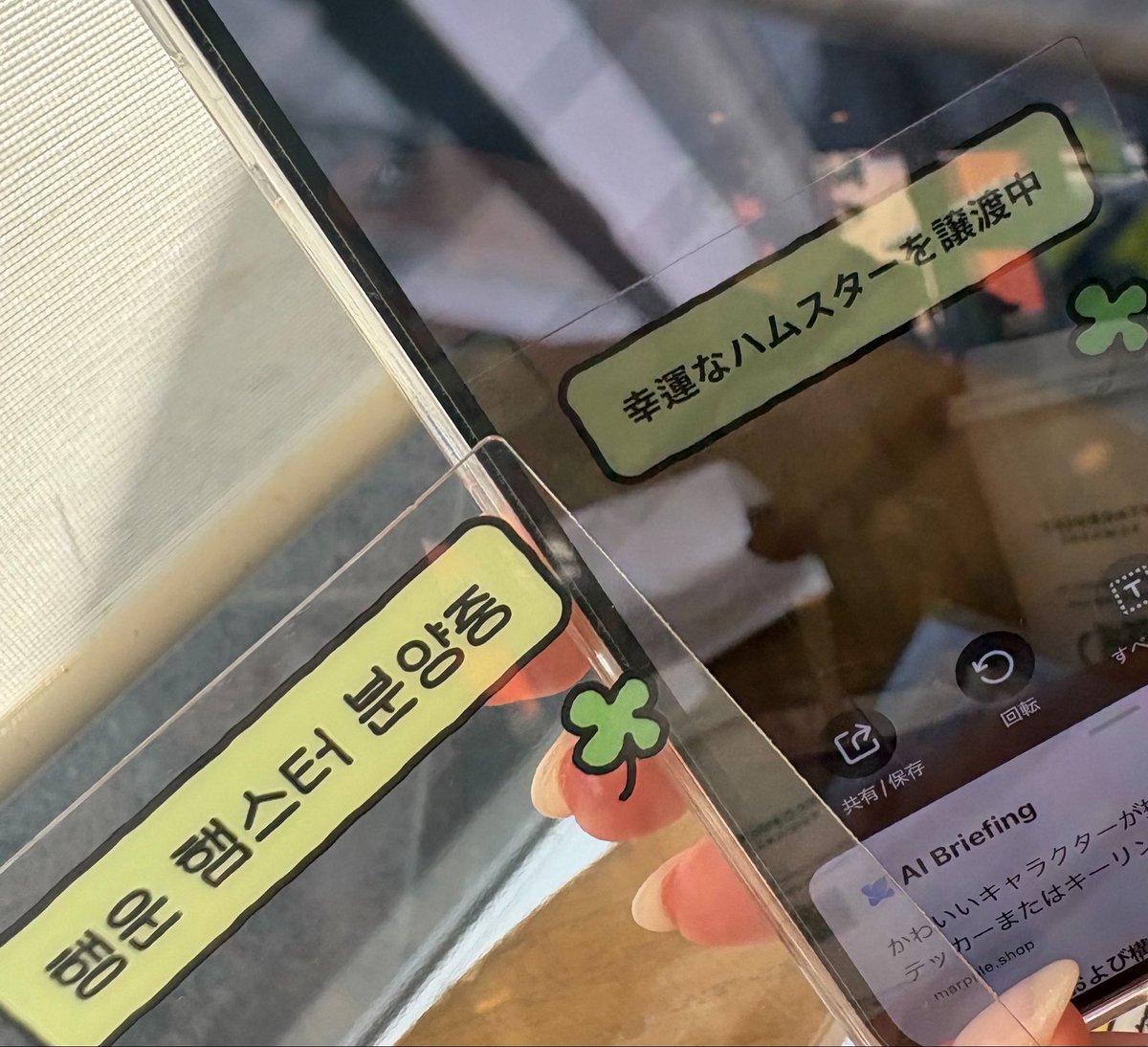 _minhozz's tweet photo. 昨日は友達に韓国土産の謎トレカホルダーあげてオクトーバーフェスでだべって楽しかった⍝₍ᐡ𓏼ᴖ ̫ᴖ𓏼ᐡ₎⍝ｗｗｗｗｗｗｗ https://t.co/YjKHE5CpAn