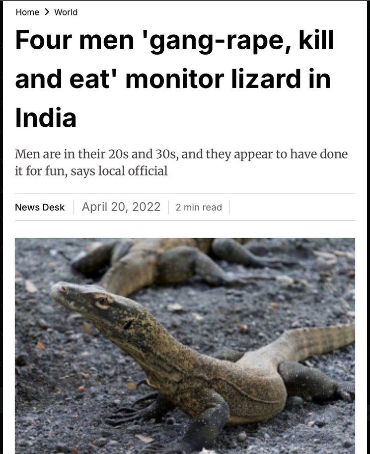 iamcoolestever's tweet photo. @Nikoesla we rape lizards saar we eatshit saar please dont hate us https://t.co/KILHXnYx2G