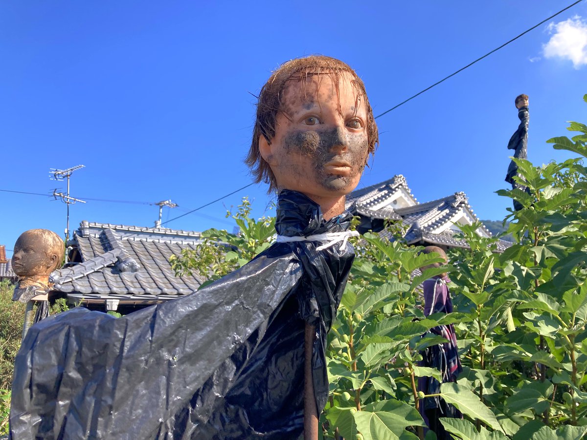 TarouKamikaze's tweet photo. 愛媛県以外でこのタイプのカカシ見たことある?
マジで怖いんやが https://t.co/BS7HQHVcgN