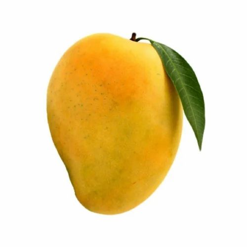 krispie76's tweet photo. my #flamror headcanon is that sammy the mango and phonkkidd are friends https://t.co/SjrrP2wBCh