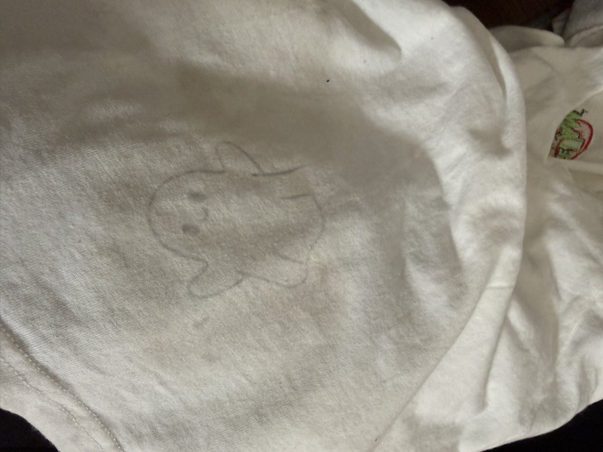 nerumaru_02's tweet photo. ワッペンTシャツに付けるために布探してたらいいのなくてお兄ちゃんのTシャツでやってたら模様映っちゃった…バレないよね😭
やらかした😭 https://t.co/Mp2t5hSb4s