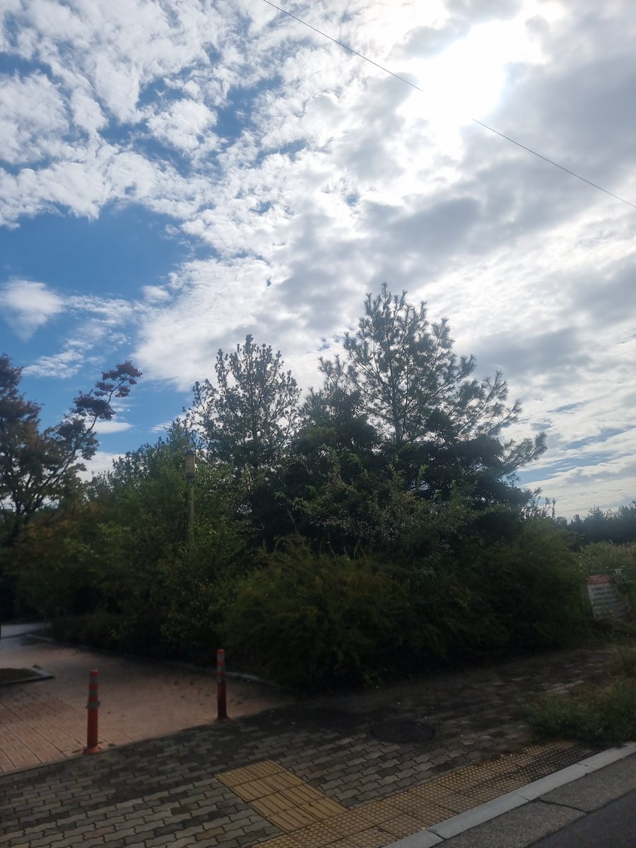 imjaemin5's tweet photo. こんにちは、皆さん
今日も天気いいですね
今日は会社近くに用事があって出掛けています。用事が終わり、バス停に出会った。遊歩道、秋が住み着き色が綺麗たった。私、こんなにエモいたったんだろか？
忘れかけた感情がよみがえる https://t.co/pEiFnddsWR