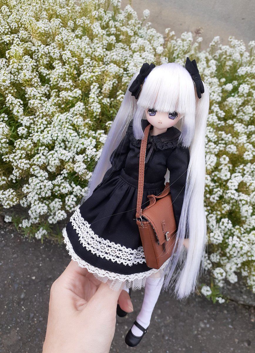 shikiuki_'s tweet photo. せらお嬢とお散歩

#アゾカツ https://t.co/gM9p9exvJi