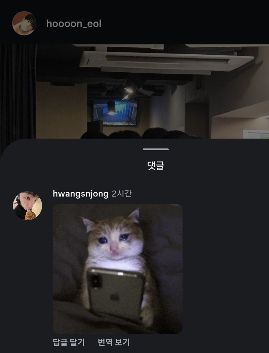 P0NG_M's tweet photo. 고양이가
9주전까진 춤췄는데
이제 운다네......ㅜ... https://t.co/SFCiRV2gQv