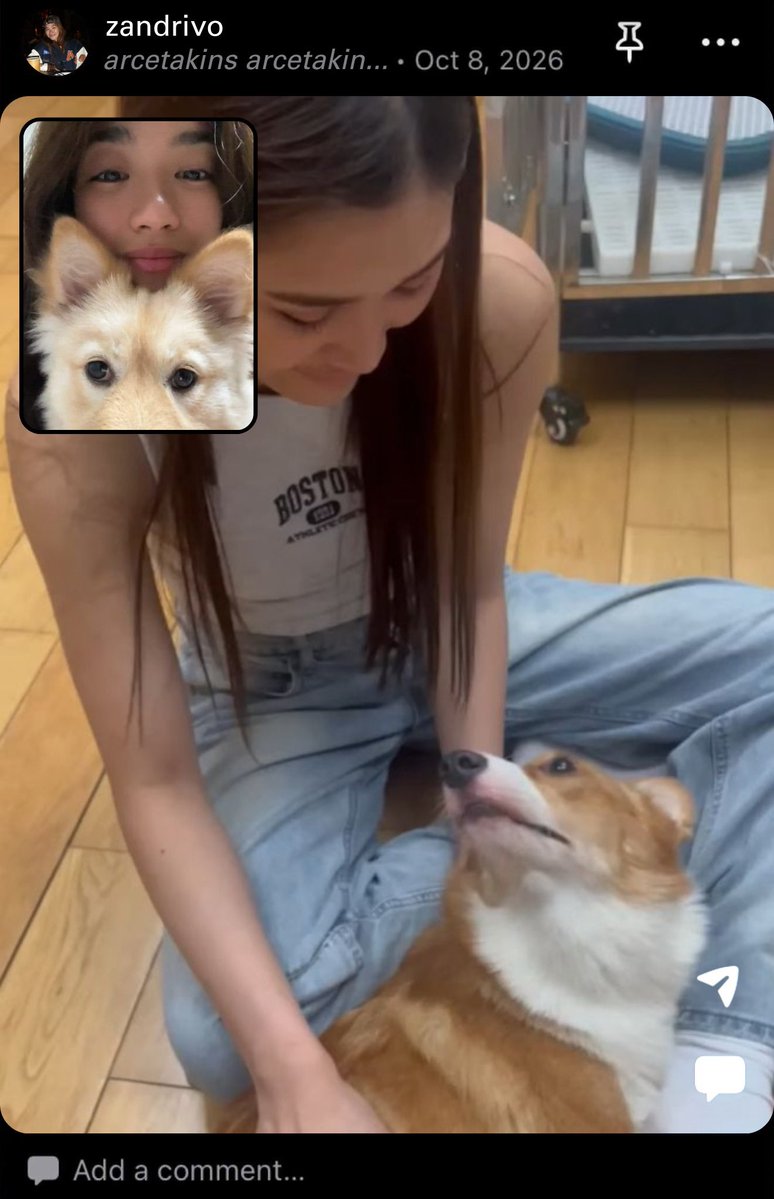 arcetakins's tweet photo. if zen and noelle had a bereal

#azian https://t.co/wIeUMM1lm8