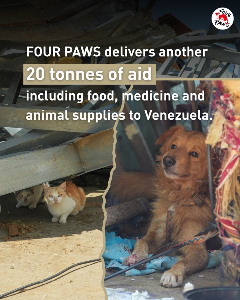 fourpawsAU tweet picture