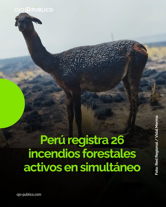LLopez62071751's tweet photo. Como no es Lima la derecha asesina no hace ni mrda https://t.co/KkI9ARr7tj