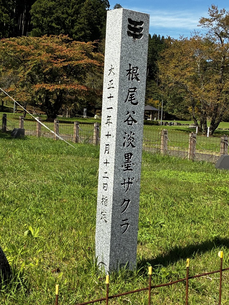 temiboo1's tweet photo. 淡墨桜（咲いてない）金原ダム行って来た。お天気も良くて少し暑いくらい。ダムの水階段状になっているところ水多いと流れてとても綺麗らしい^_^水はとても澄んでて綺麗でした❣️😊LIVE行けないからみなさんの報告楽しみにしてます♪ https://t.co/amQ0MX2sDW