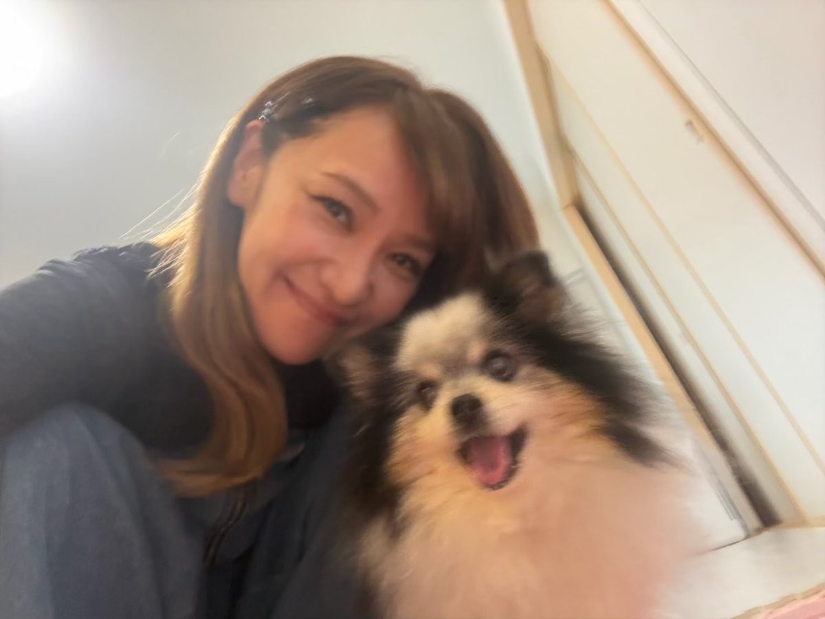 heana_music's tweet photo. ひまが旅立って一ヶ月経ちました🥹
足の痛みと腫れも少しずつ良くなってきて、立つことや歩くことの練習も少しできるぐらいになりました😊
少しだけひましゃのものを整理してまた泣きました🥲　まだまだ弱いな🥺
また絶対会おうね https://t.co/zdoBOuuWf0