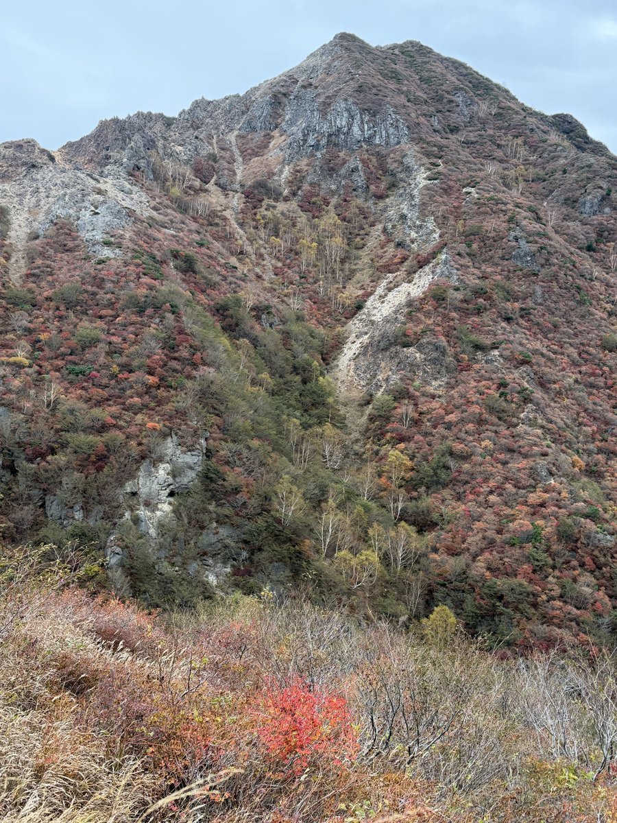 mikalintamalin's tweet photo. 会津の晩秋を味わって
帰りは那須岳へ。
向こうからの山景色と
こちら側からの眺めの
答え合わせをしに。 https://t.co/AUmlQSGl5L