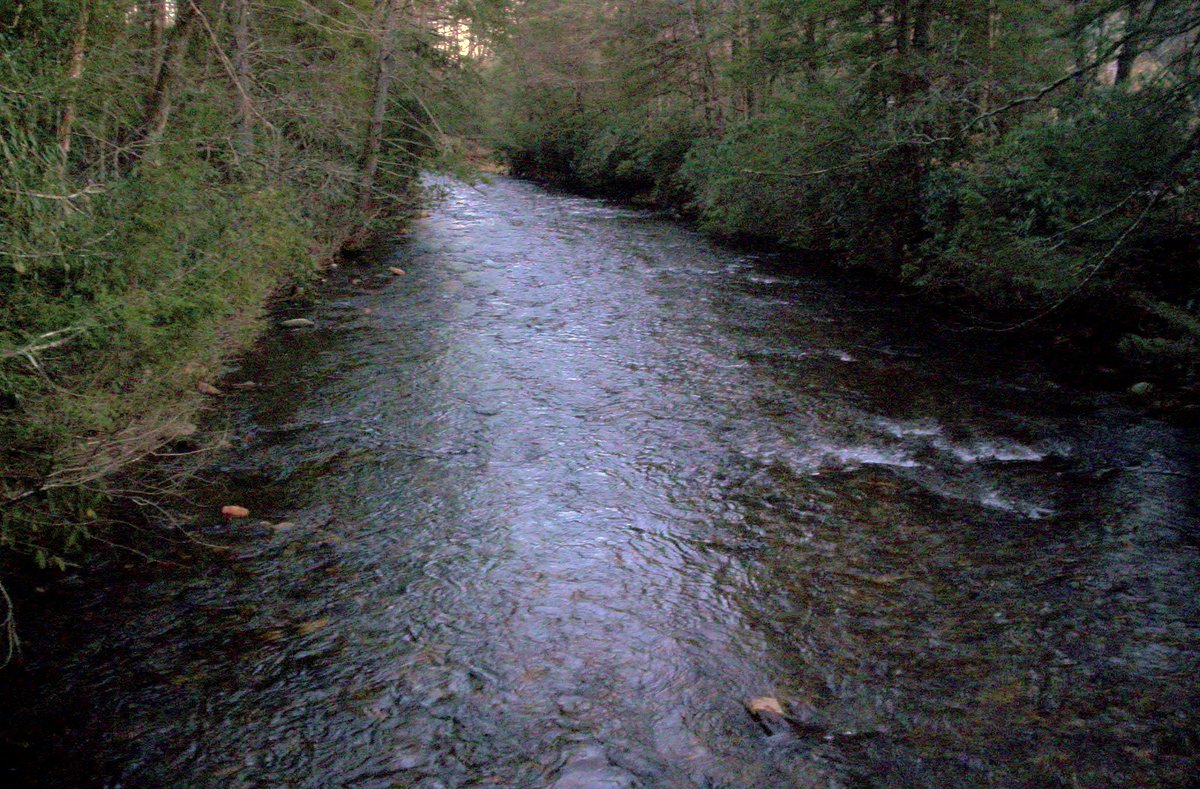 troutphisher's tweet photo. I cannot escape the corruption of this world, but I can make tea from waters of the mountain streams and put my heart at ease.

Good morning, friends....🍵☕️ https://t.co/TIE7zUJ1R6