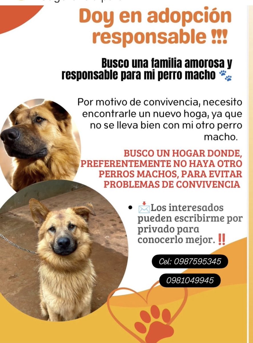 mariannojeda's tweet photo. https://t.co/LrHR19x3VR