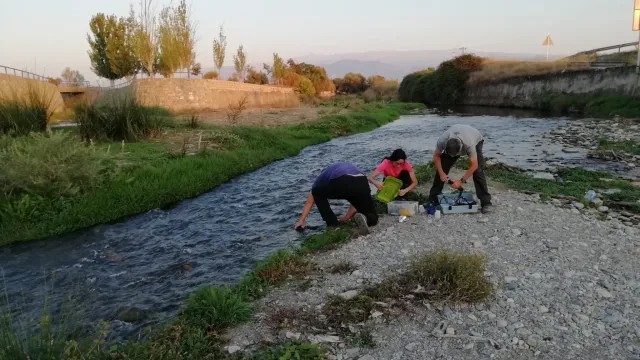 AtomNewsoff's tweet photo. IAEA publishes report on isotope tracing for water pollution monitoring dlvr.​it/TVzDRm #Nuclear #NuclearEnergy #AtomNews https://t.co/YaqHHOqhcX