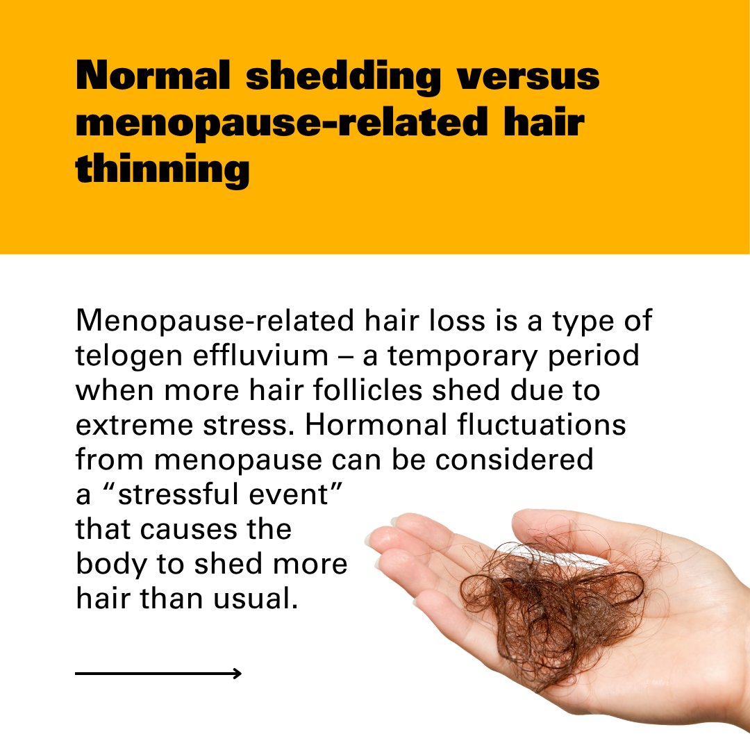 VCUHealth's tweet photo. For some women, menopause can mean brittle, thinning hair. Two VCU Health professionals reveal what to expect and what treatments are worth trying. https://t.co/4aVrZlDGGa https://t.co/ikIl68c2SI