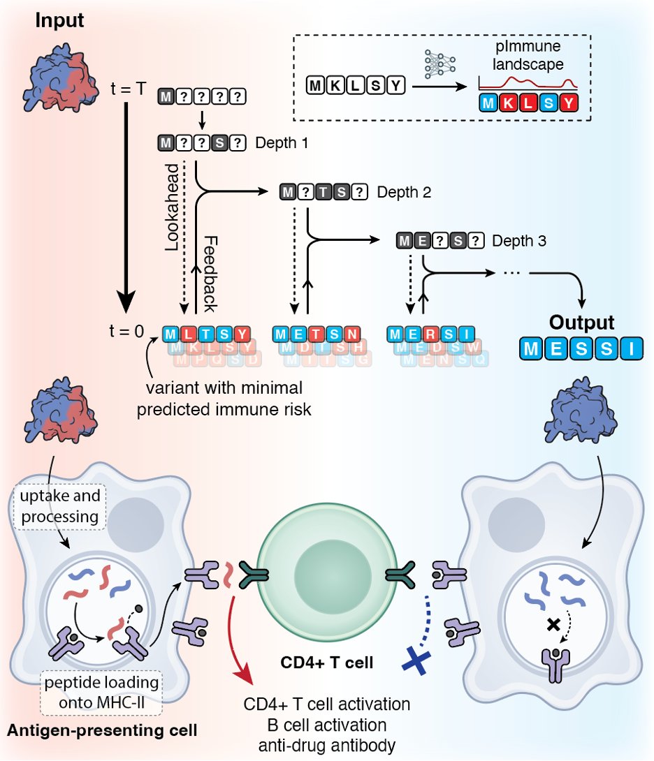 idmjky's tweet photo. Generative protein design is transforming macromolecular drugs, but de novo designed therapeutics could still be hindered by immunogenicity in the clinics. Excited to introduce MESSI, a discrete diffusion model for generative protein deimmunization. https://t.co/ONTh4Nrc49
