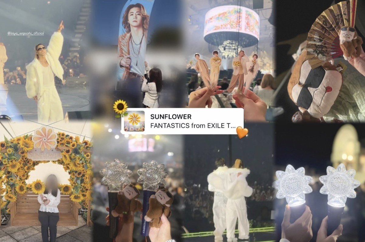 yuse_y1111's tweet photo. SUNFLOWER🌻💫
どの公演も楽しかったし ファンタに出会えて良かったなと改めて思えたツアーでした♩
#FANTASTICS
#SUNFLOWER #SF_FNT https://t.co/aGQIxrjg97