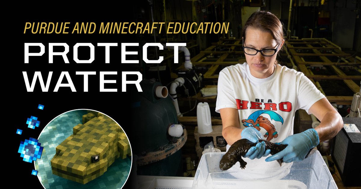 LifeAtPurdue's tweet photo. The eastern hellbender is a living signal of stream health. Purdue research is helping bring it back — and a new Minecraft Education (@playcraftlearn) quest is helping students understand why clean water matters. 

Read more. ⬇️ https://t.co/JmaaqWOpEO https://t.co/6HAwhbm2na