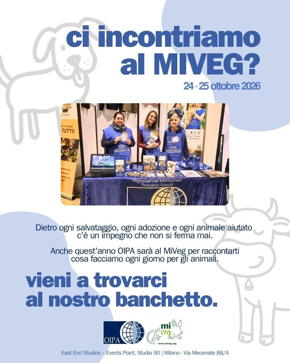 OipaTreviso's tweet photo. #weekend #24ottobre #25ottobre #Milano torna #miveg fiera #vegan, #OIPA presente @ #viaMecenate 88a #EastEndStudios #metroblu #Repetti👉https://t.co/ppqaSxRb6N #protezioneanimali #miveg2026 #govegan #tryvegan #endthecageage #crueltyfree #endslaughterage #miveg26 #AnimalAbuse https://t.co/gOPaGYDgos