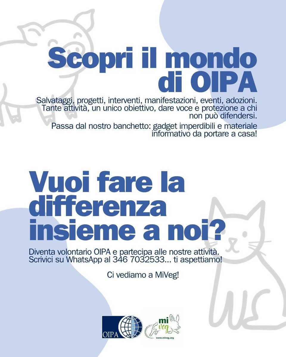 OipaTreviso's tweet photo. #weekend #24ottobre #25ottobre #Milano torna #miveg fiera #vegan, #OIPA presente @ #viaMecenate 88a #EastEndStudios #metroblu #Repetti👉https://t.co/ppqaSxRb6N #protezioneanimali #miveg2026 #govegan #tryvegan #endthecageage #crueltyfree #endslaughterage #miveg26 #AnimalAbuse https://t.co/gOPaGYDgos