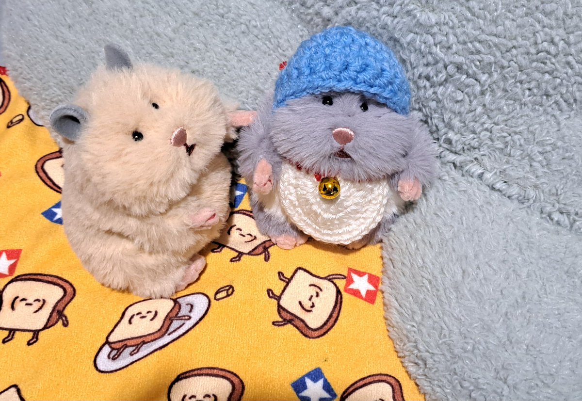 kkk2014_gb's tweet photo. ごまお…ハロウィンはまだだよ…

………え？

#はむにぎり https://t.co/e4xNuU3ZIA